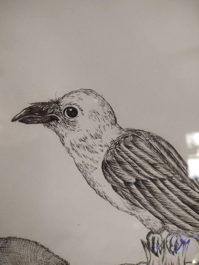 Original Raven Drawing