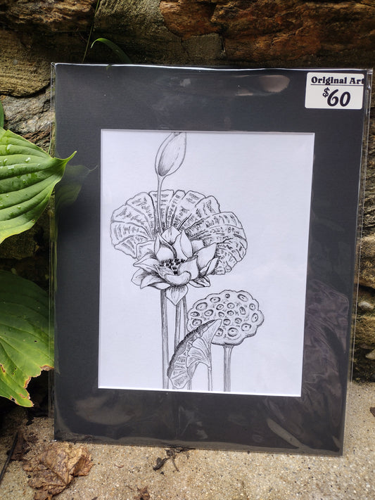 Lotus