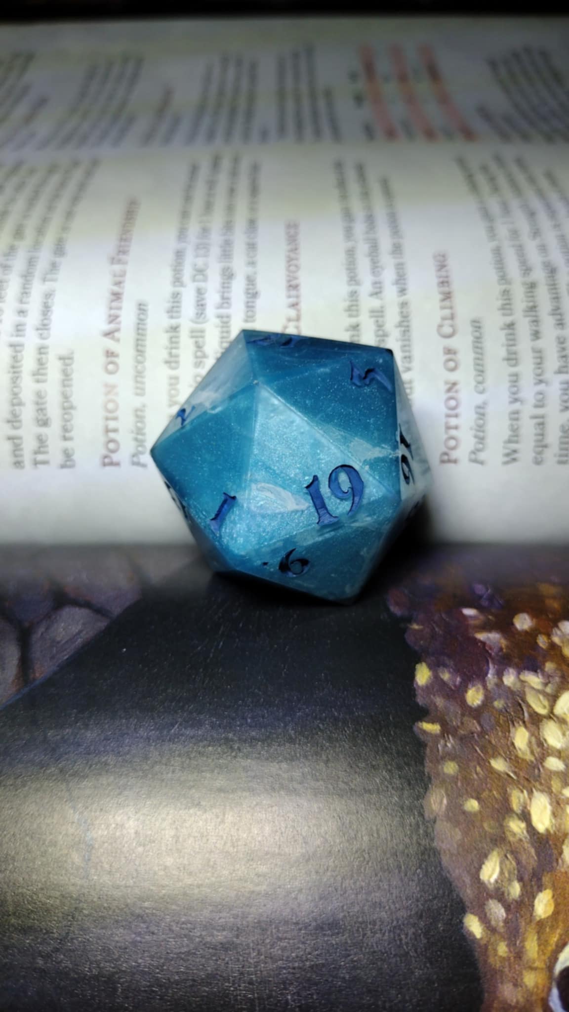 40mm chonk D20 dice