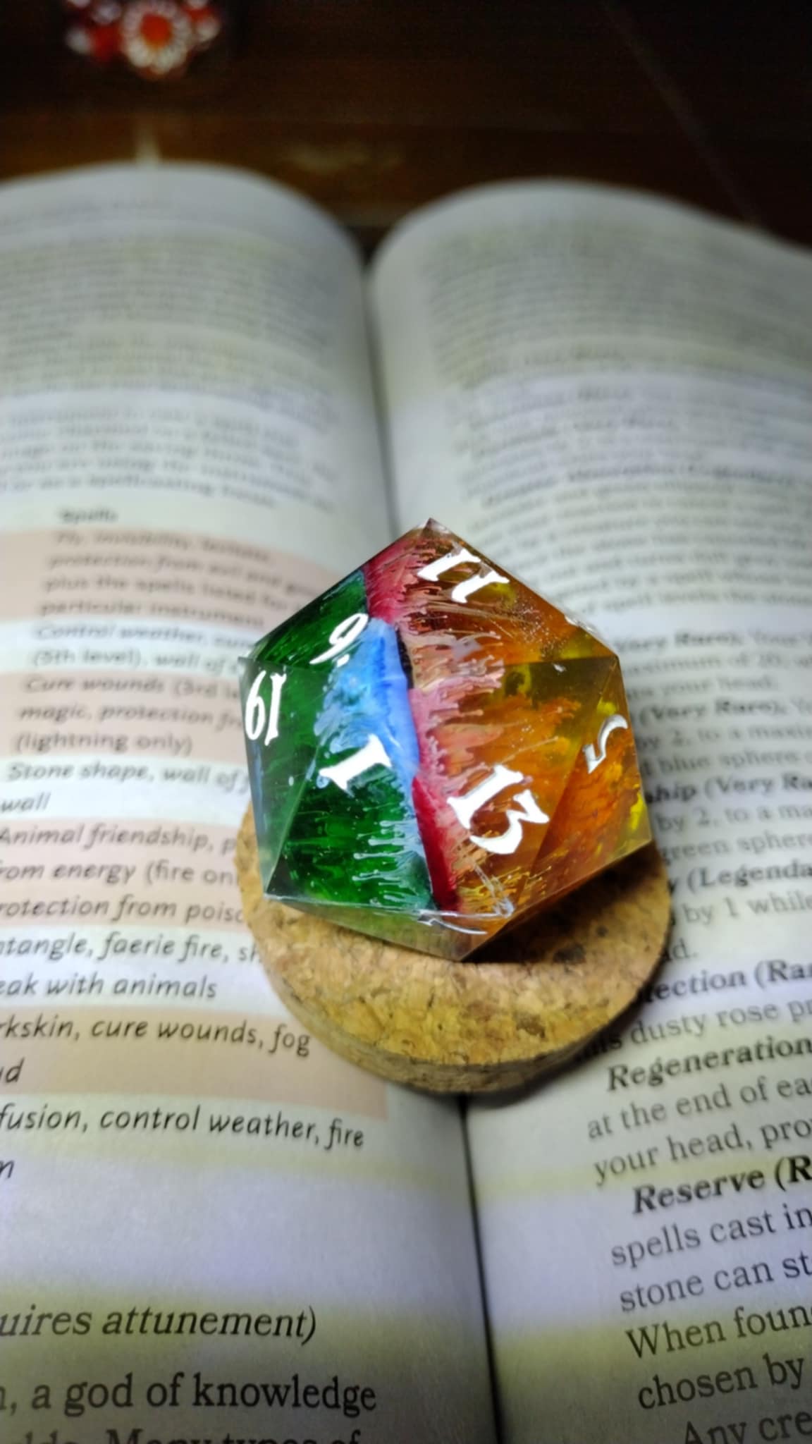 40mm chonk D20 dice