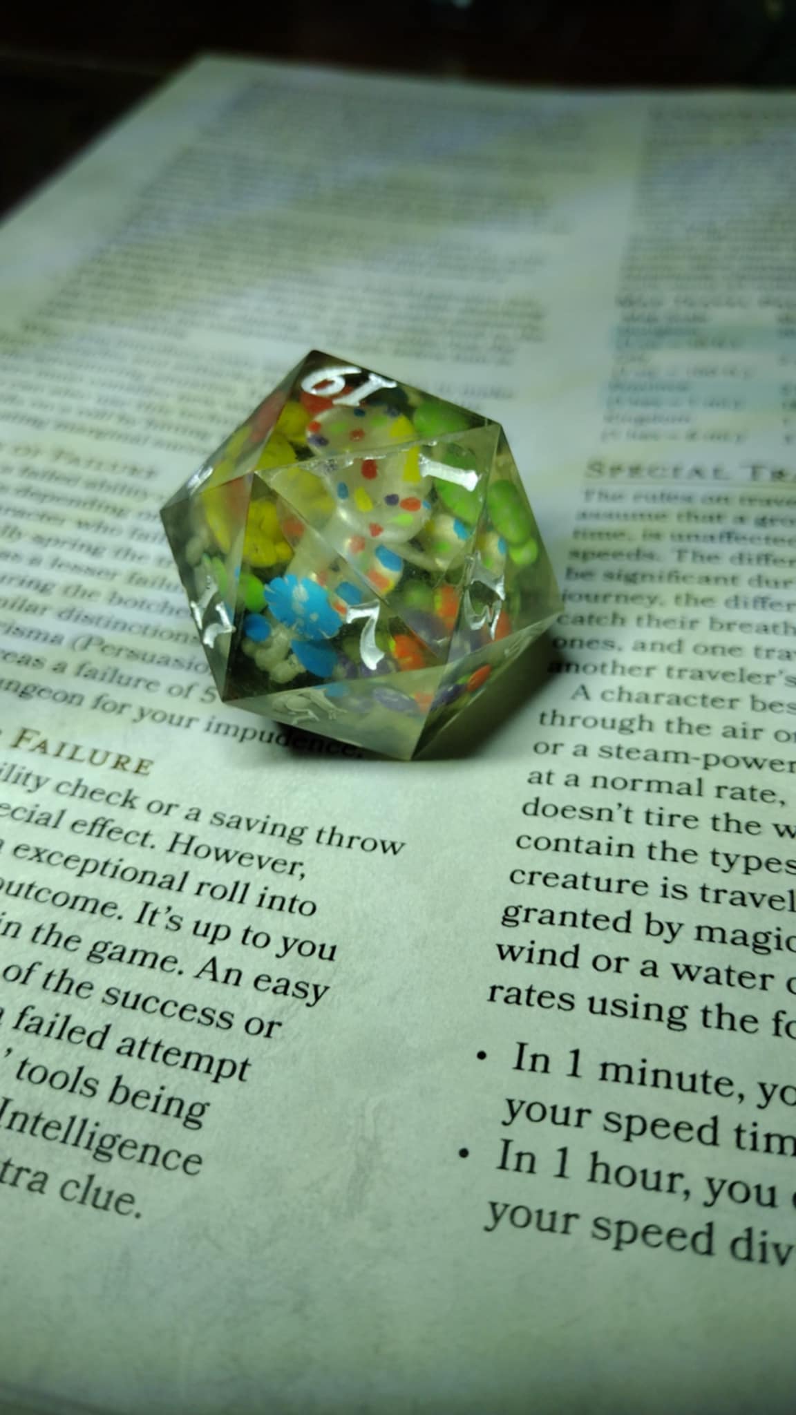 40mm chonk D20 dice