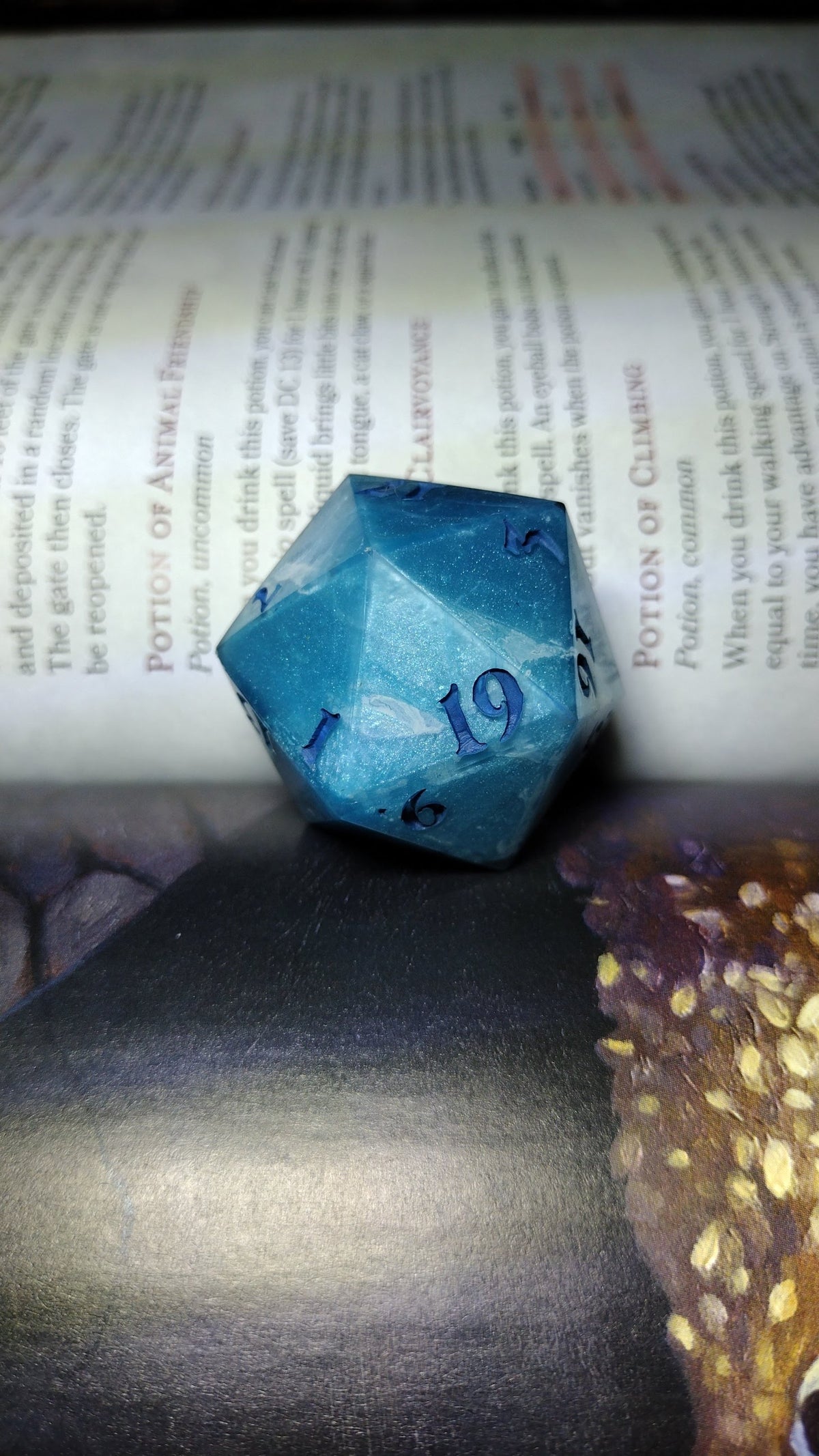 D20