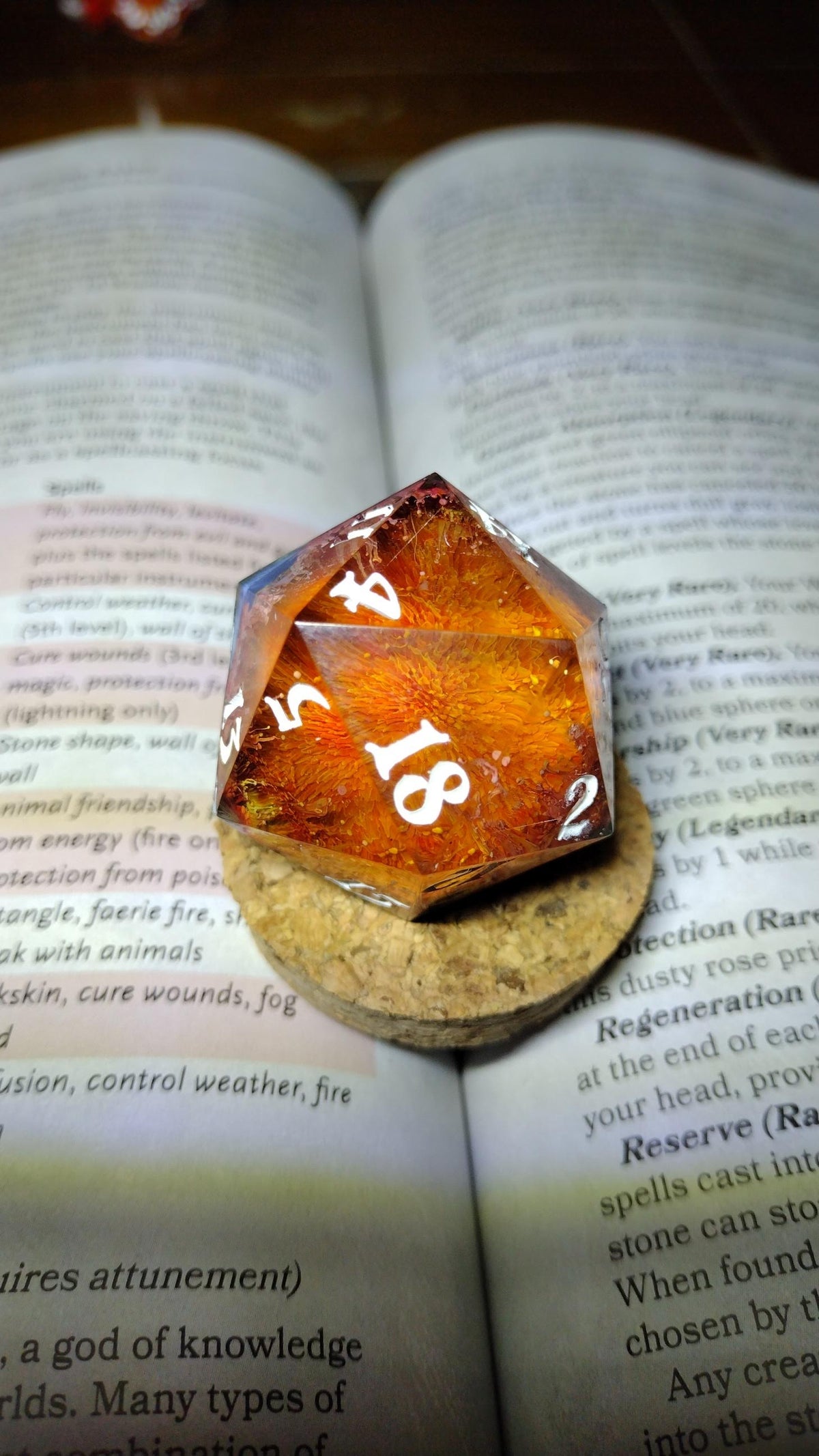 D20