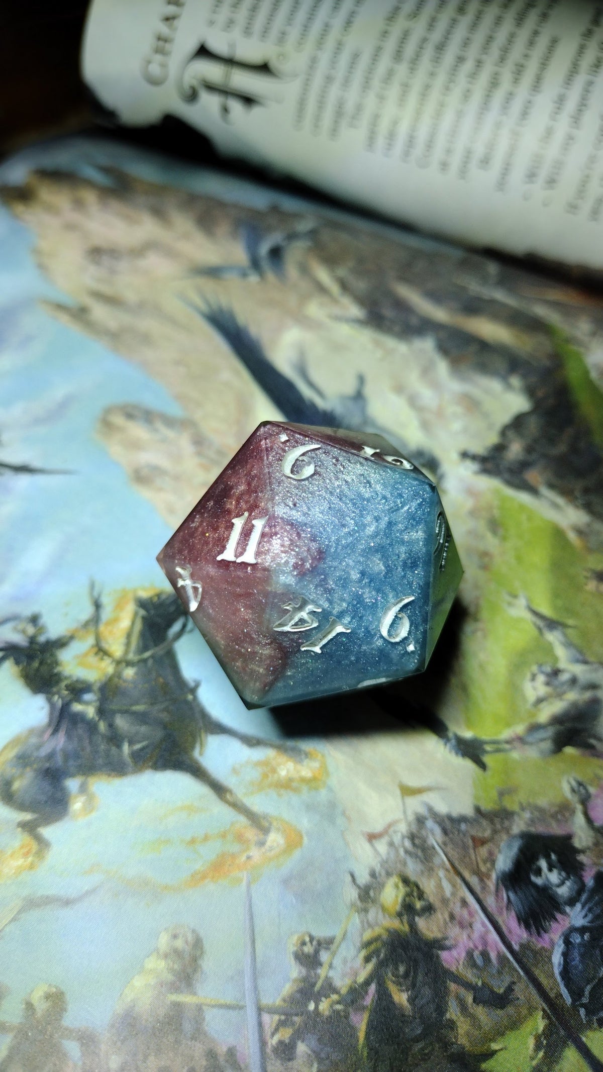 D20